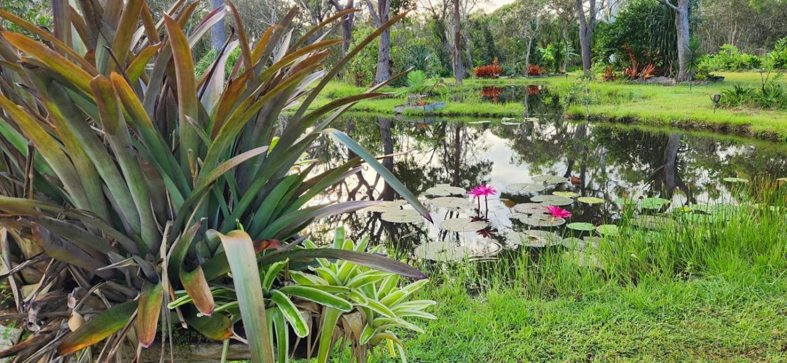 Sonnys Piece Of Paradise Holiday home