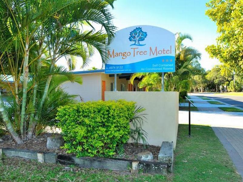 Mango Tree