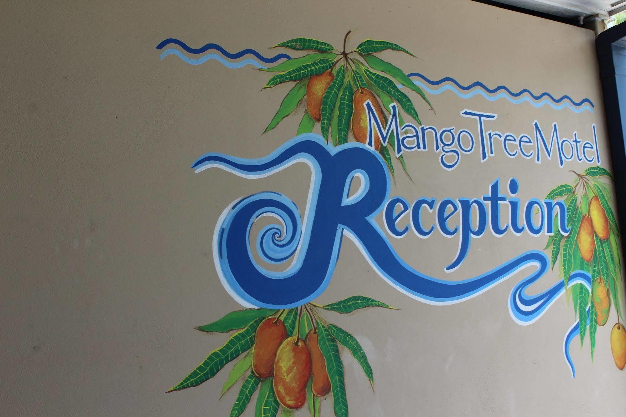 Mango Tree