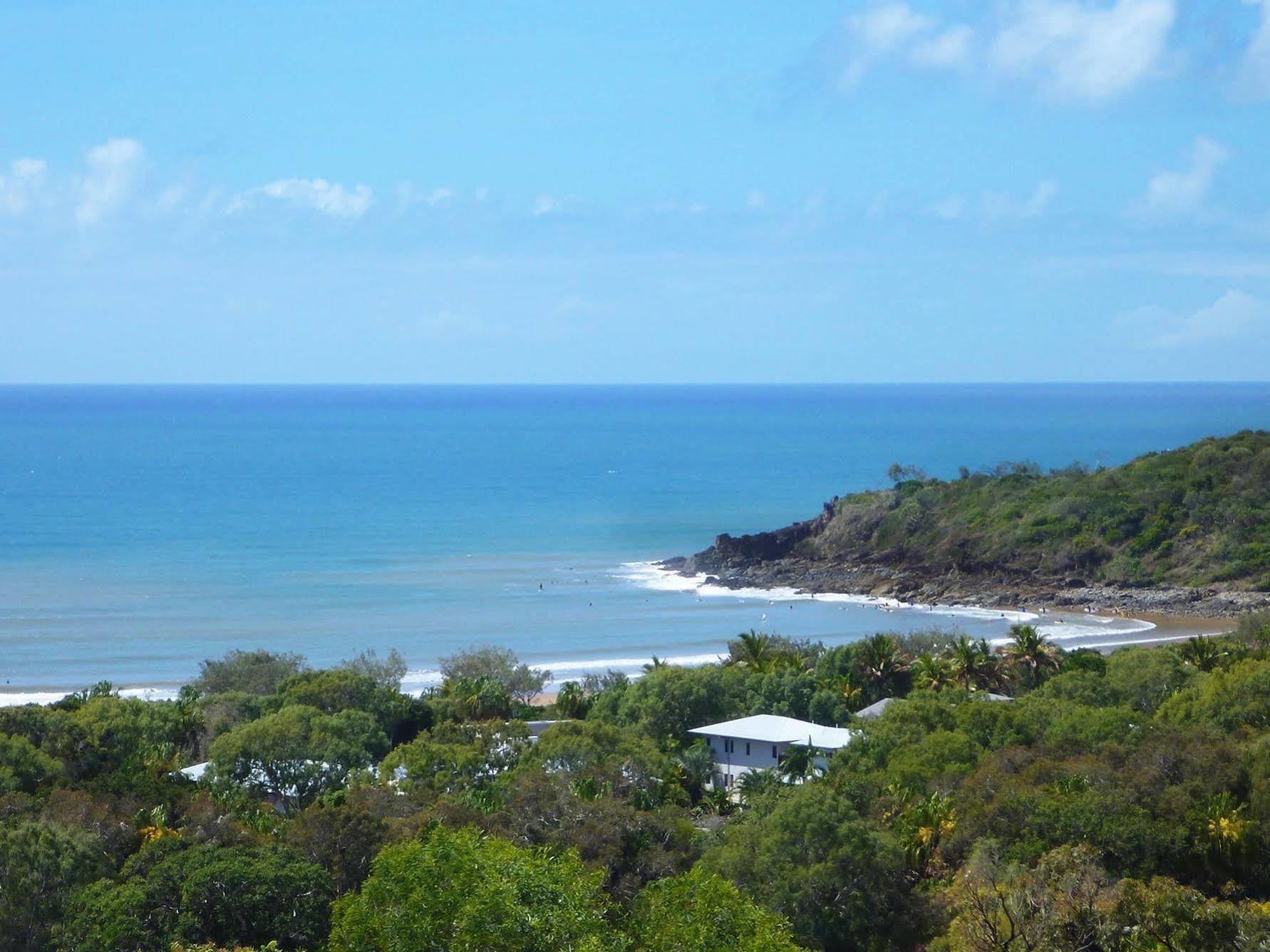 Agnes Palms