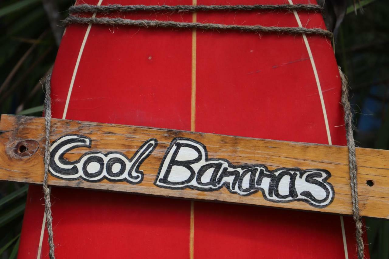Cool Bananas Backpackers * Agnes Water