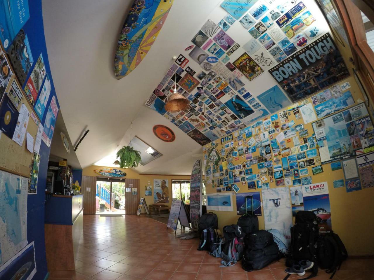 Cool Bananas Backpackers Hostel *