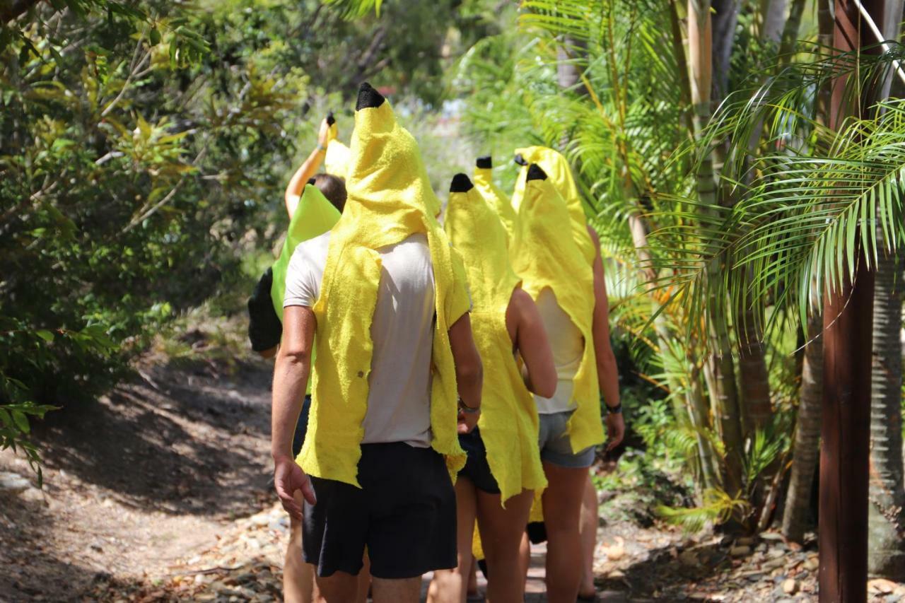 Hostel Cool Bananas Backpackers Agnes Water