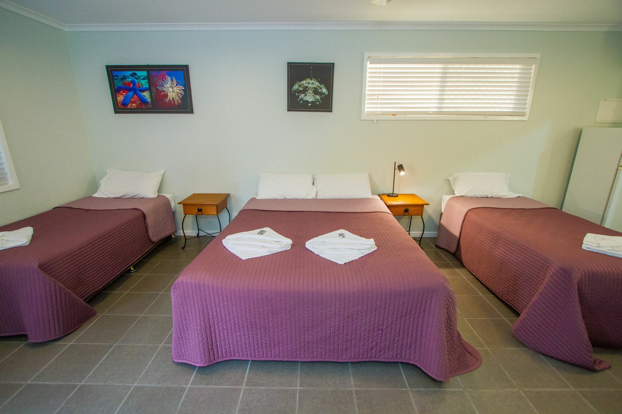 Agnes Palms Holiday park 3*