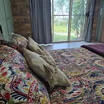 Horizons Kangaroo Sanctuary- Private Retreat For Couples