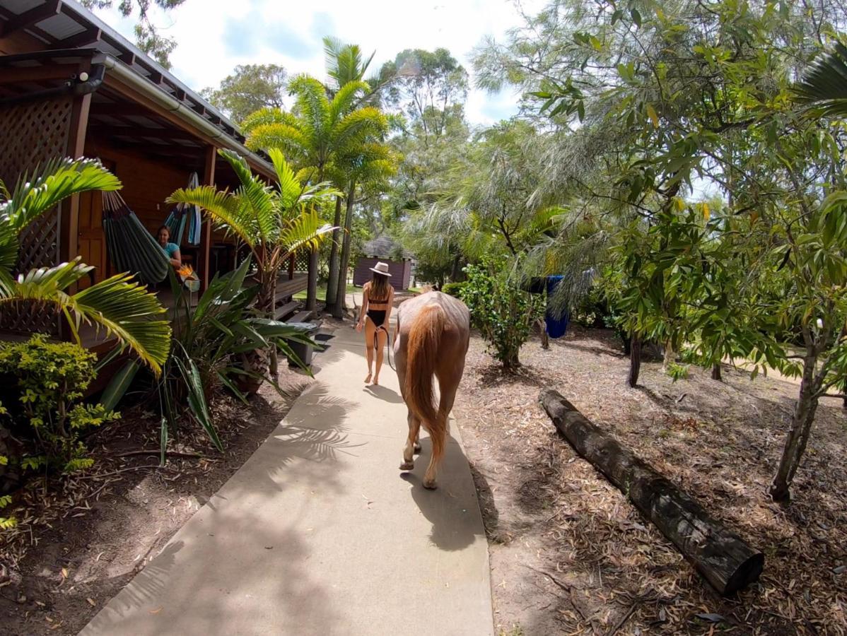 1770 Southern Cross Travellers Retreat Hostel
