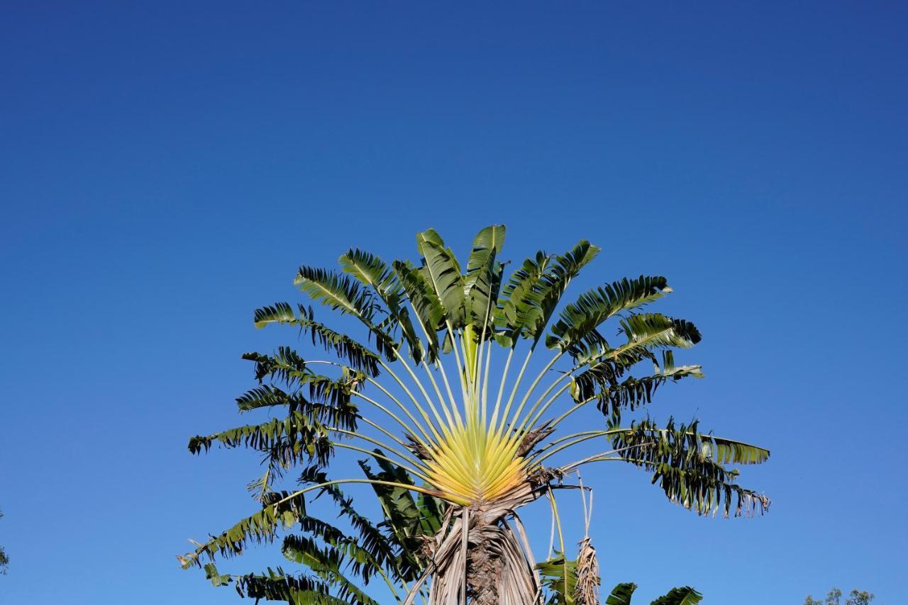 Yellow - Bush And Holiday home *