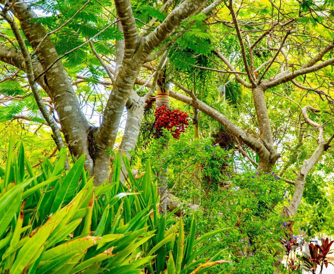 Villa Sunbird Gardens *