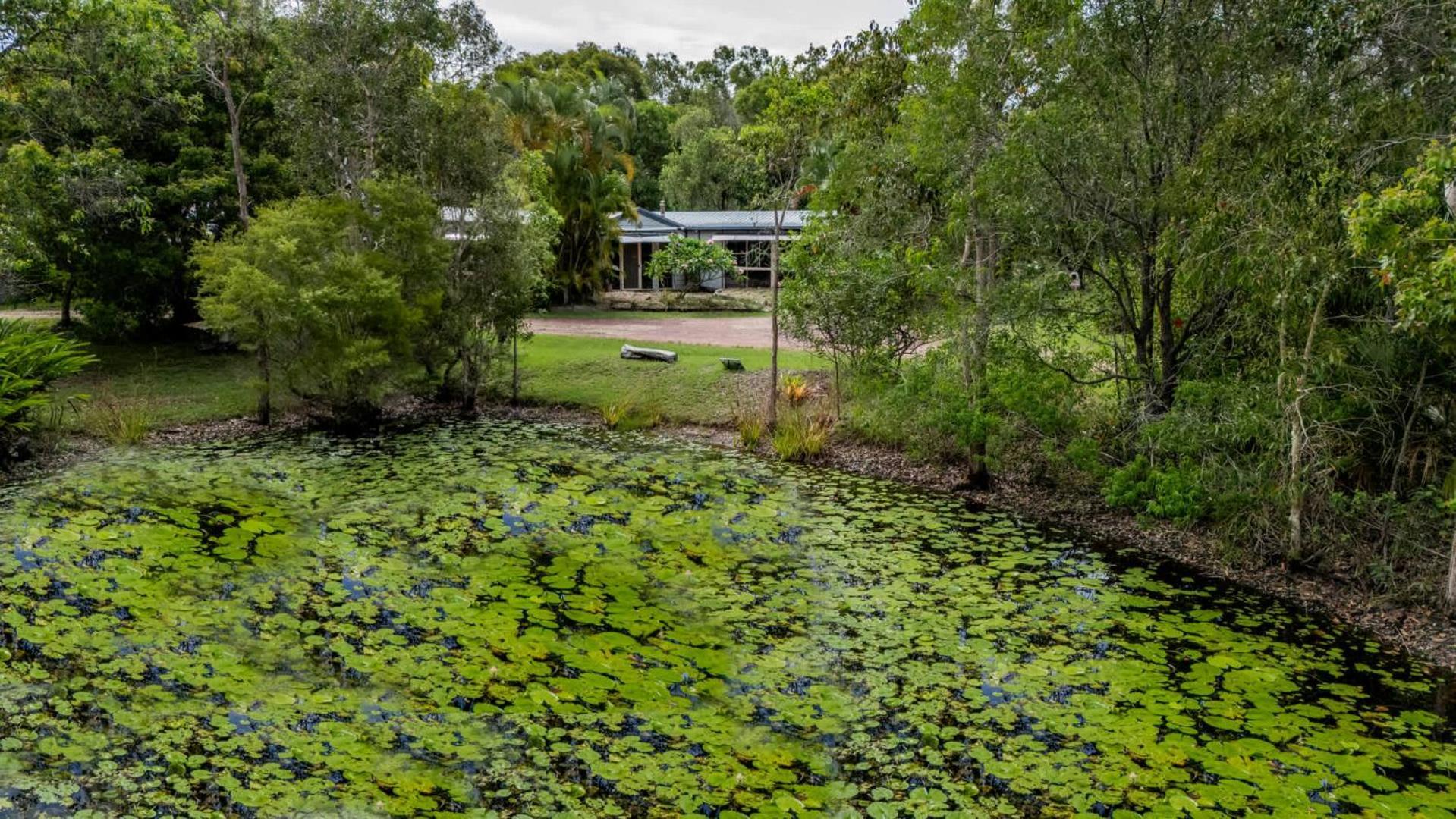 Dragon - Large Pet-friendly With Pool & Beautiful Bushland In *