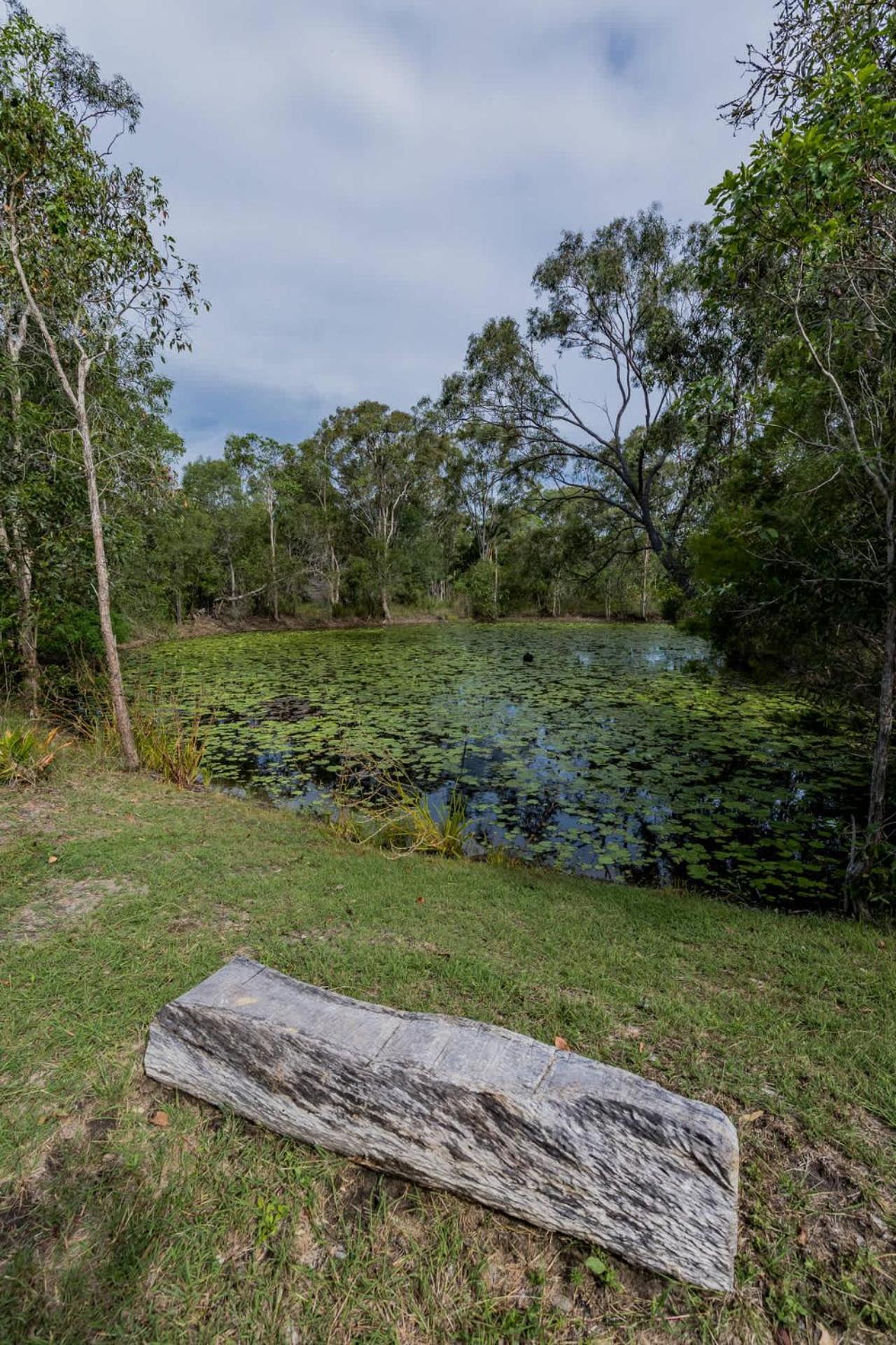 Holiday home Dragon - Large Pet-friendly With Pool & Beautiful Bushland In