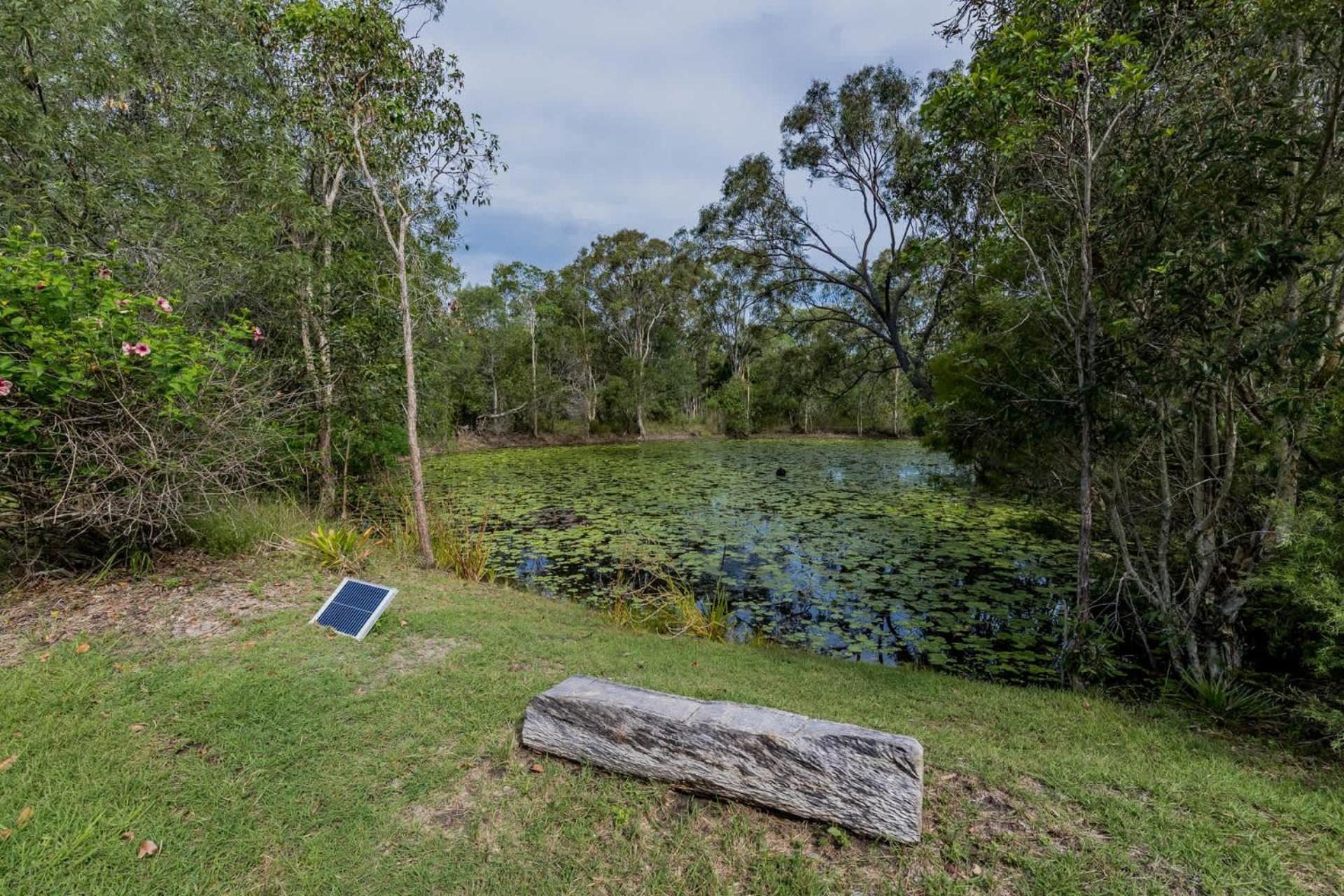 Dragon - Large Pet-friendly With Pool & Beautiful Bushland In Holiday home *