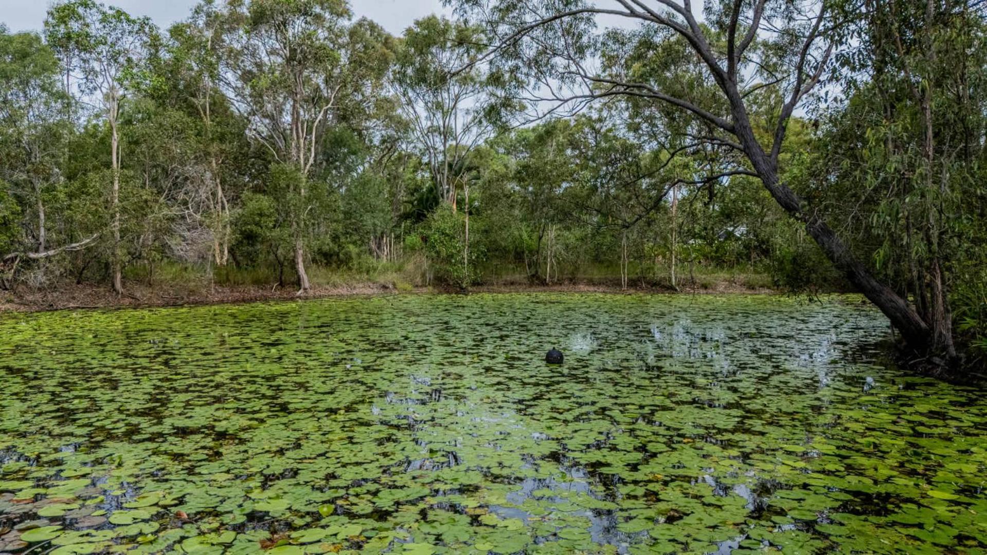 Dragon - Large Pet-friendly With Pool & Beautiful Bushland In * Agnes Water