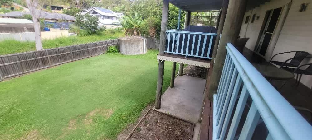 Cabbage Palm * Agnes Water