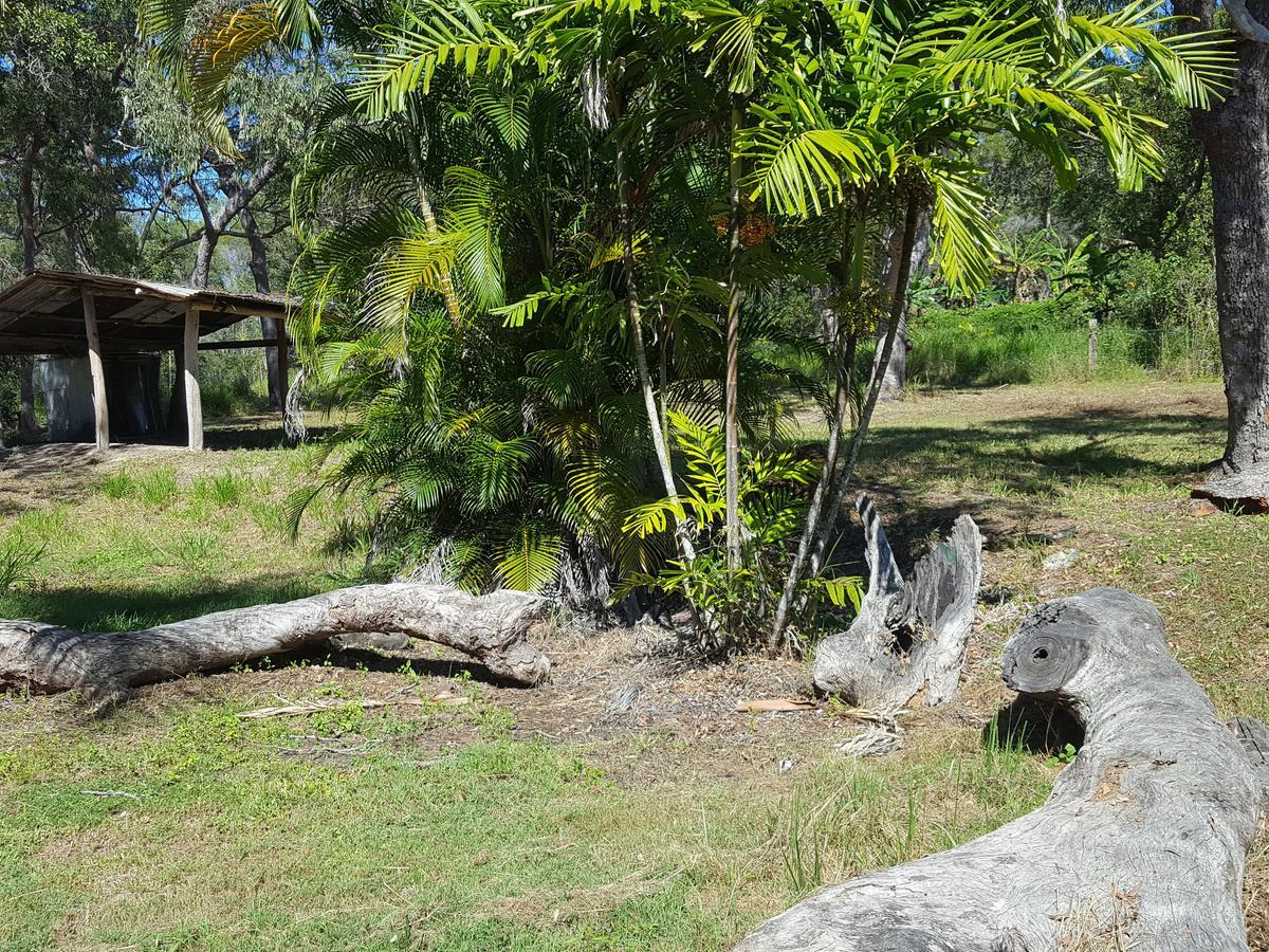 Yellow - Bush And Holiday home