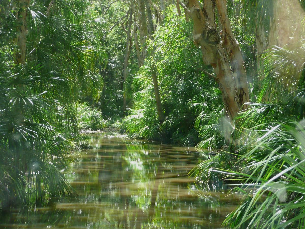 Arthurs Park * Agnes Water