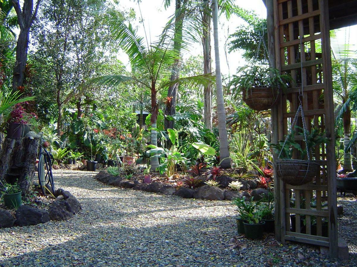 Holiday home Forest Lodge: Little Agnes Water