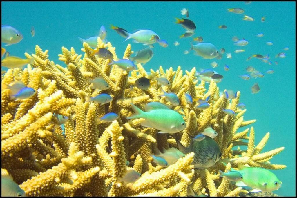 Birdsong Ridge - Where Nature Meets The Ocean. * Agnes Water