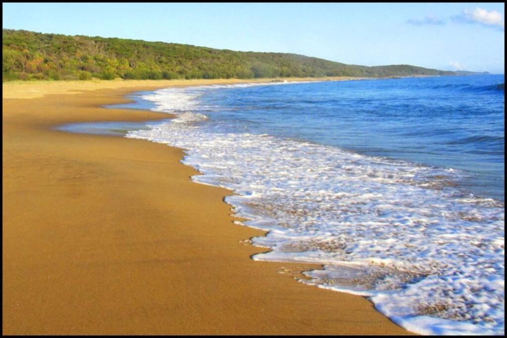 Apartment Birdsong Ridge - Where Nature Meets The Ocean. Agnes Water